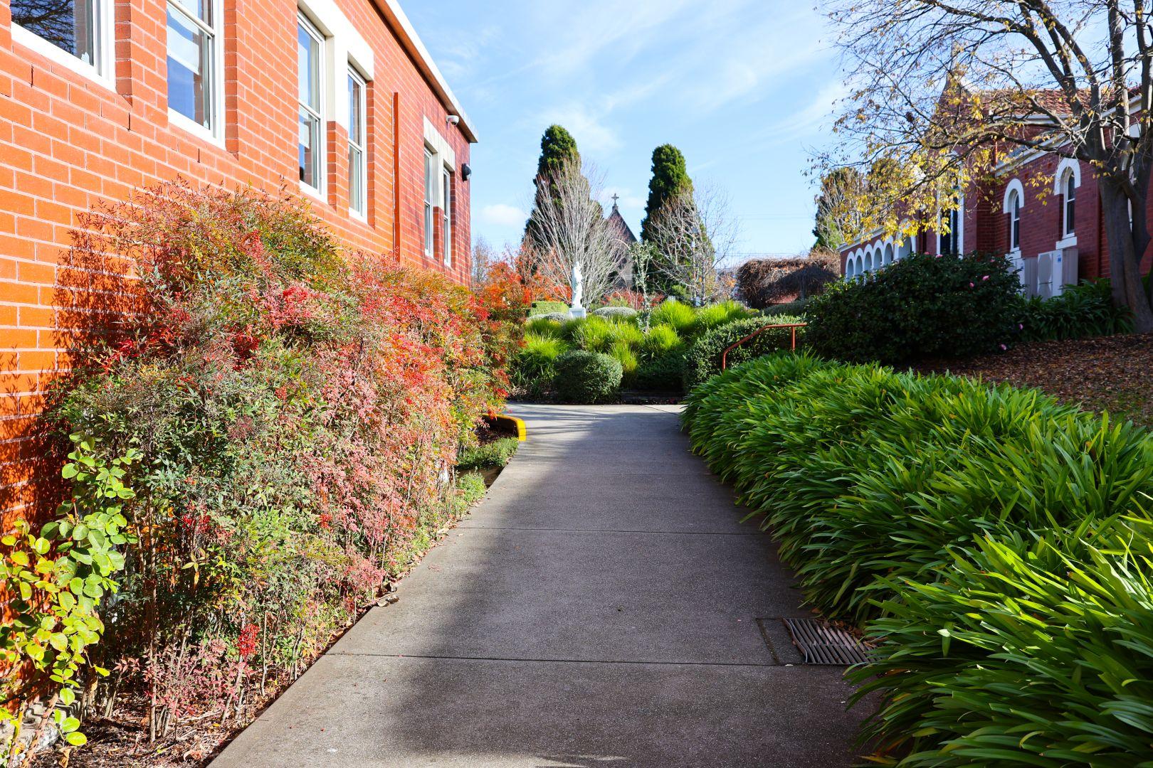 Schoolgrounds 14
