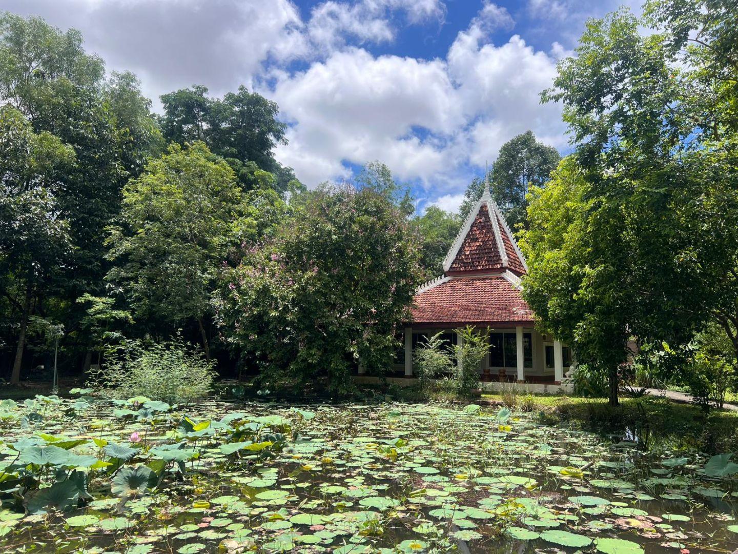 45215d87 4184 4039 9a59 f62a8e510de8