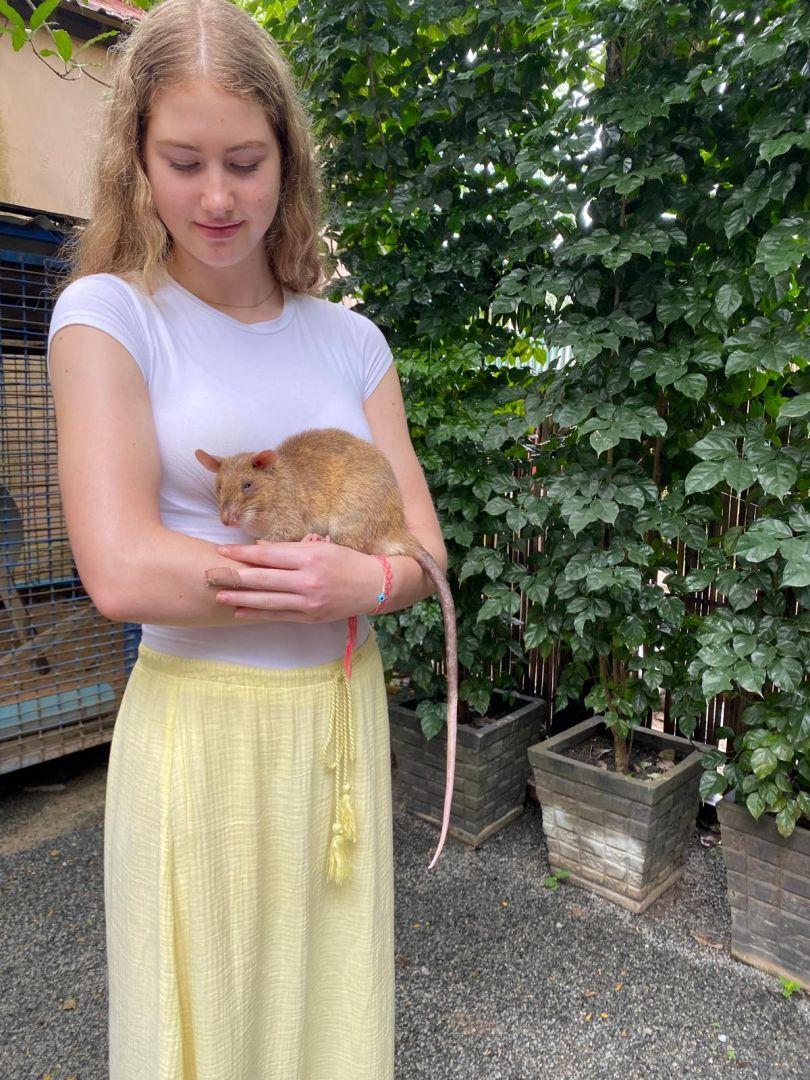 8e2dae3b 6fc1 4fc7 9049 669d40948715