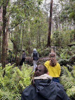 IMG 20251119 133602 15