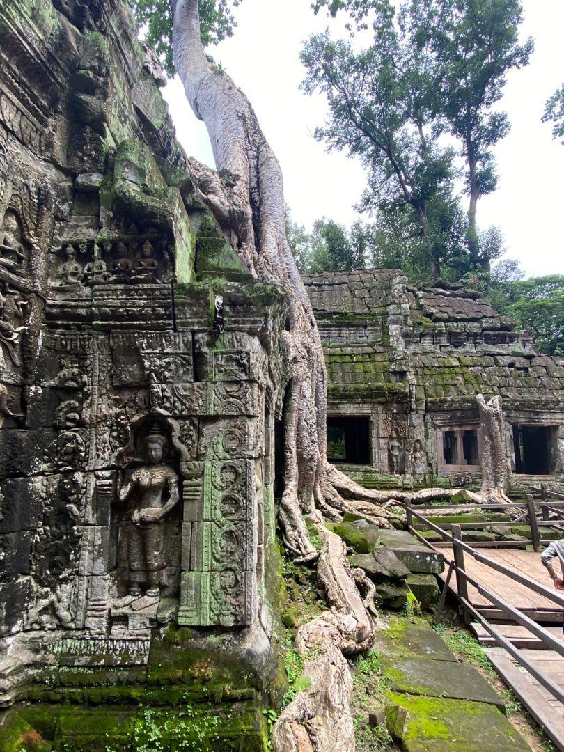 Da4b5ac0 5ab3 4149 8855 f02a0b88bd97