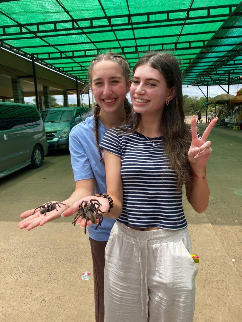 E502c780 749a 45e7 81c1 9fae1f9dbbfe