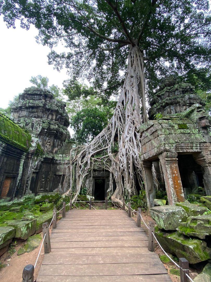 Ecf35ebf 7332 414e b861 0a8ecd29a84d