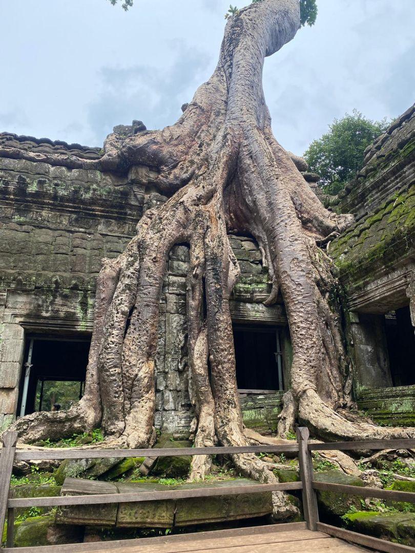 F152a3d7 3107 4c36 b64d 1828d2946d57