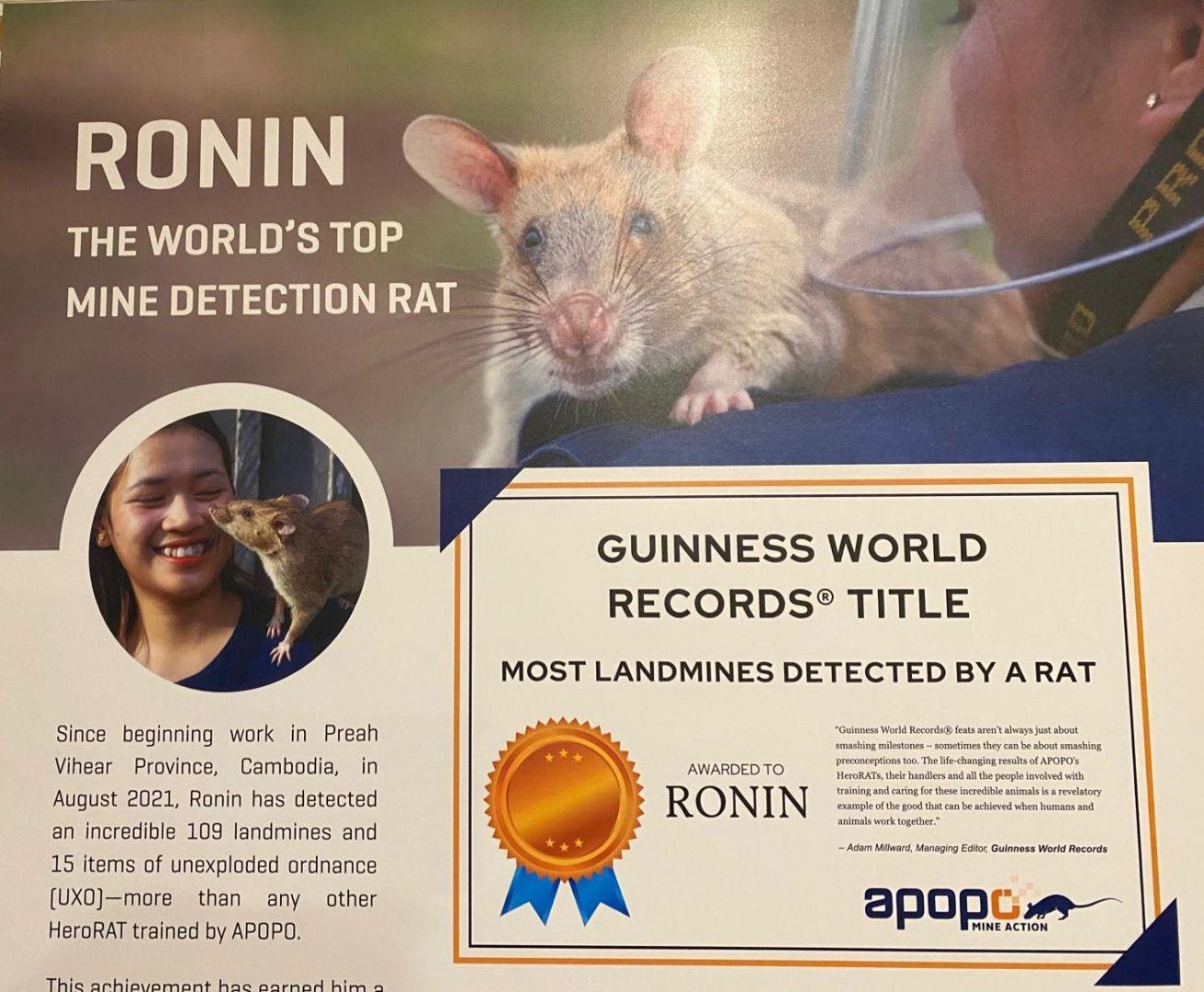 F3841cdc 3825 40a0 a3a7 e061cc5edfd1