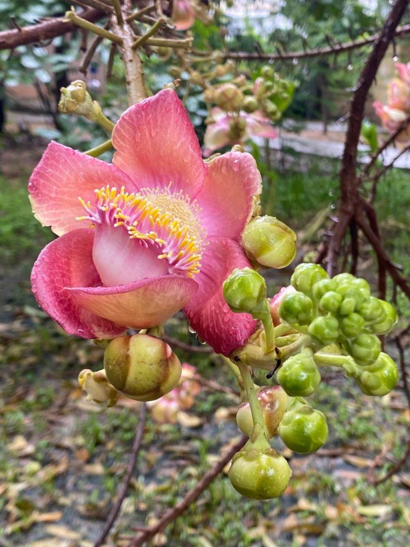 Fc2bed64 db9f 493c 9e7a 4392cf6084fd