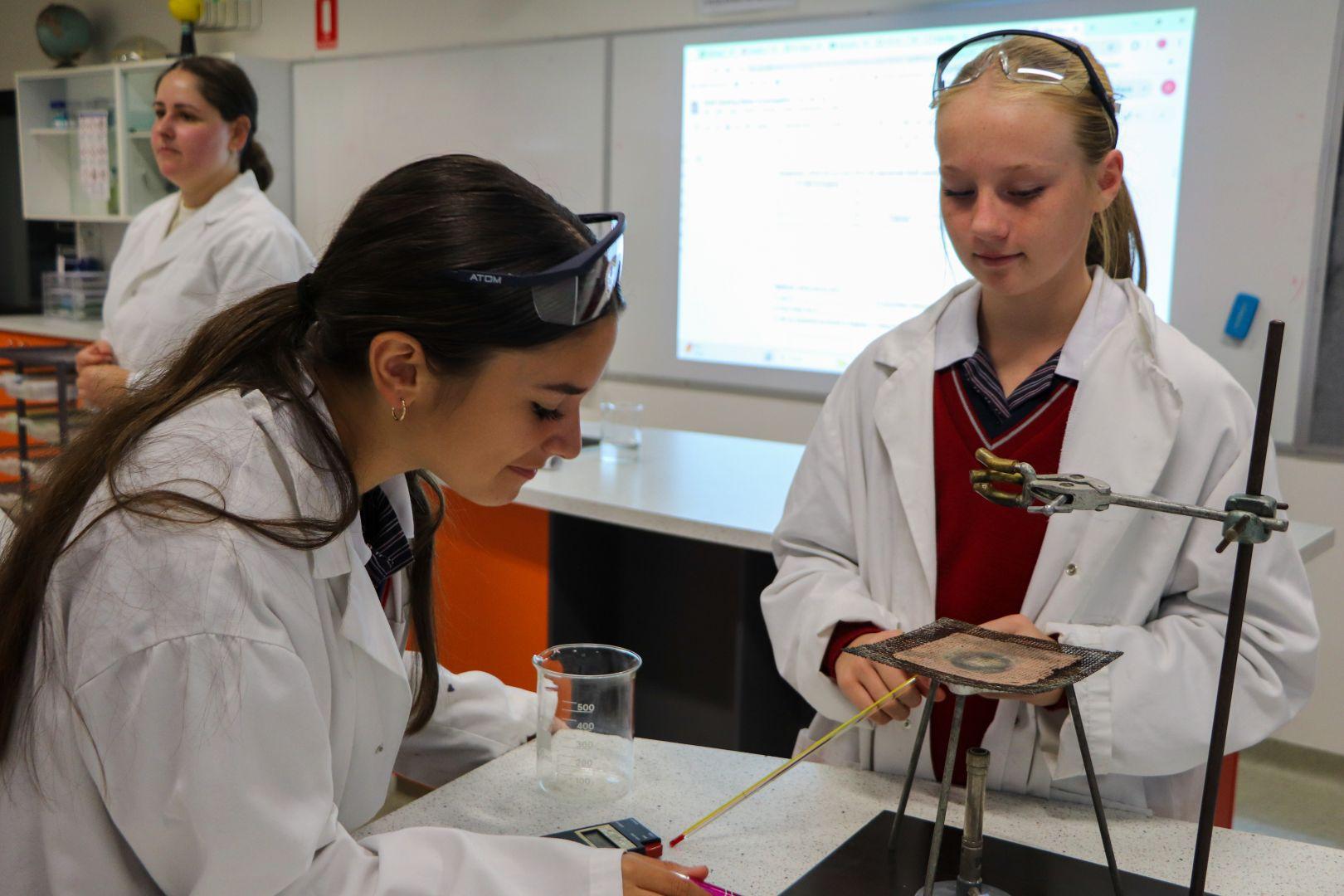 Yr7science 71